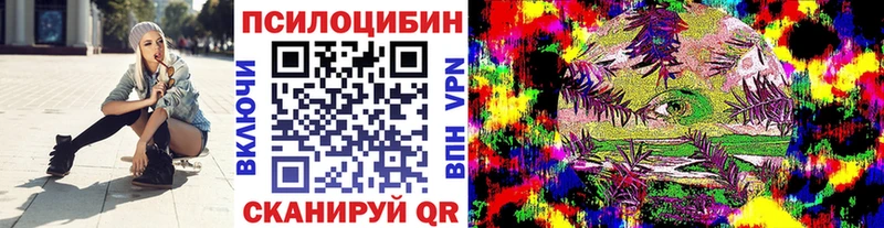 shop официальный сайт  Унеча  Галлюциногенные грибы Psilocybe 